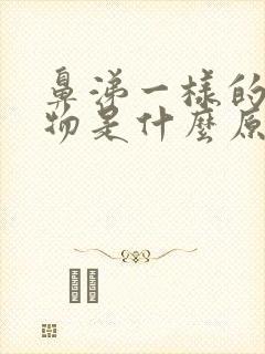 鼻涕一样的分泌物是什么原因