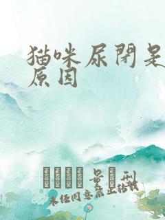 猫咪尿闭是什么原因