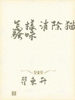 怎样消除猫咪尿骚味