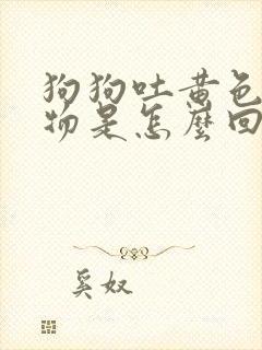 狗狗吐黄色呕吐物是怎么回事