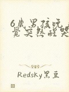 6岁男孩晚上睡觉突然醒哭闹