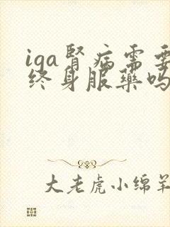 iga肾病需要终身服药吗