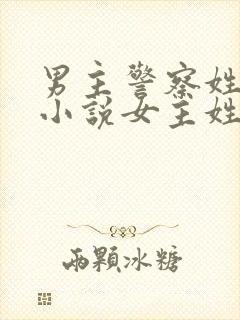 男主警察姓季的小说女主姓阮