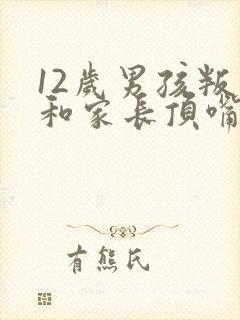 12岁男孩叛逆和家长顶嘴发脾气