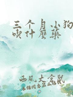 三个月小狗呕吐吃什么药