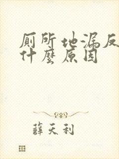 厕所地漏反臭是什么原因