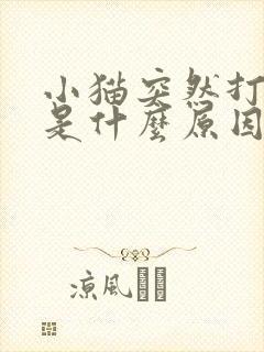 小猫突然打喷嚏是什么原因