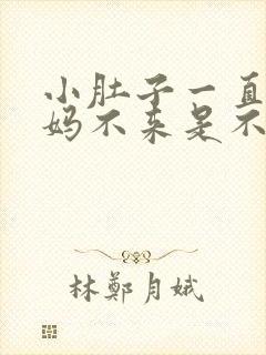 小肚子一直痛姨妈不来是不是怀孕了