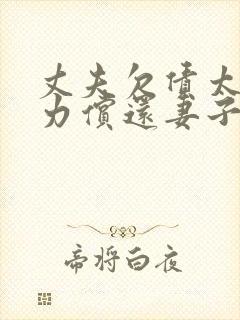 丈夫欠债太多无力偿还妻子