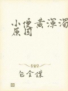 小便黄浑浊什么原因