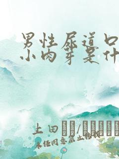 男性尿道口长一小肉芽是什么东西