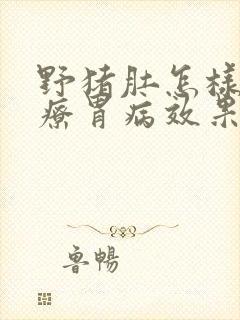 野猪肚怎样吃治疗胃病效果好