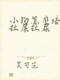 小狗怎么培训它拉屎拉尿