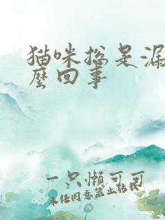 猫咪总是漏尿怎么回事