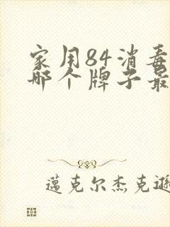 家用84消毒液哪个牌子最好