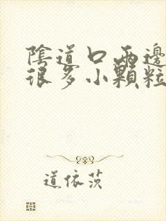 阴道口两边长了很多小颗粒