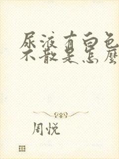 尿液有白色泡沫不散是怎么回事