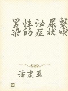 男性泌尿系统感染的症状吃什么药