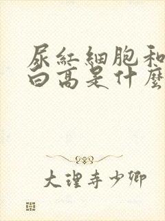 尿红细胞和尿蛋白高是什么原因