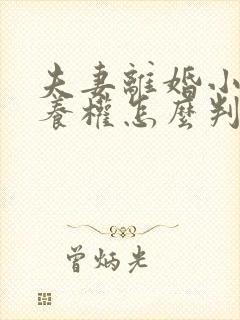 夫妻离婚小孩抚养权怎么判