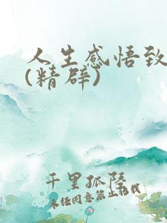 人生感悟致自己(精辟)