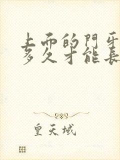 上面的门牙掉了多久才能长出来