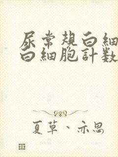 尿常规白细胞和白细胞计数区别