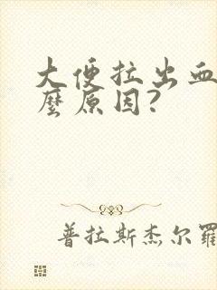 大便拉出血是什么原因?