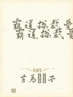 霸道总裁爱上我 霸道总裁爱上我