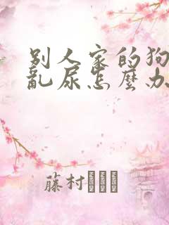 别人家的狗乱拉乱尿怎么办