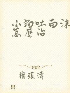 小狗吐白沫拉血怎么治