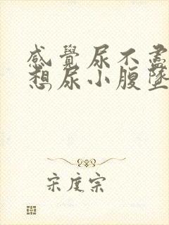 感觉尿不尽一直想尿小腹坠胀