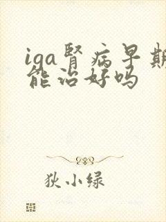 iga肾病早期能治好吗