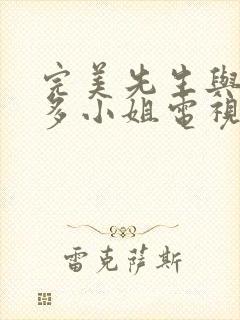 完美先生与差不多小姐电视剧免费