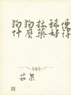 狗狗拉稀便血吃什么药好得快