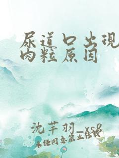 尿道口出现红色肉粒原因