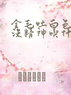 金毛吐白色粘液没精神吃什么药能好