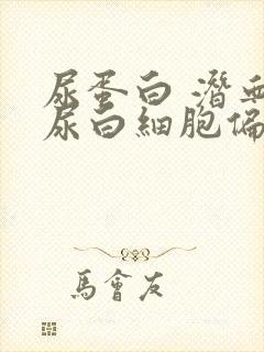 尿蛋白 潜血 尿白细胞偏高是什么原因