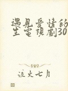 遇见爱情的利先生电视剧30集