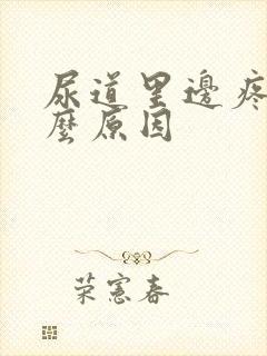 尿道里边疼是什么原因