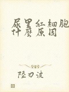 尿里红细胞高是什么原因