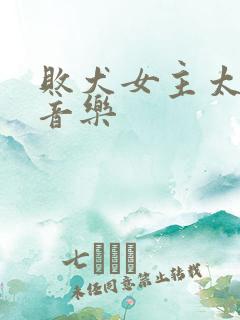 败犬女主太多了音乐