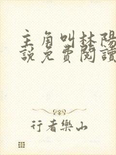 主角叫林阳的小说免费阅读