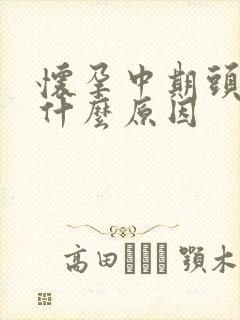 怀孕中期头晕是什么原因