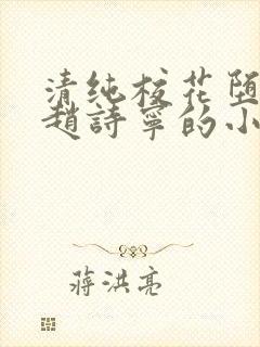 清纯校花堕落记赵诗宁的小说全文阅