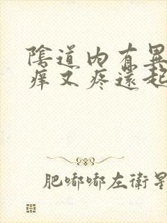 阴道内有异味又痒又疼还起泡