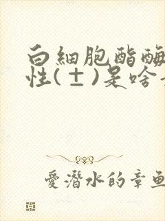 白细胞酯酶弱阳性(±)是啥意思