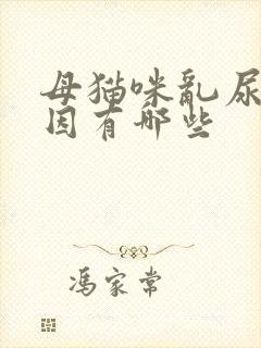 母猫咪乱尿的原因有哪些