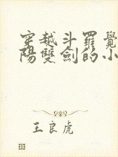 穿越斗罗觉醒阴阳双剑的小说