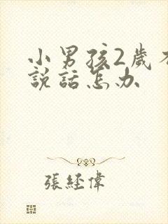 小男孩2岁不会说话怎办